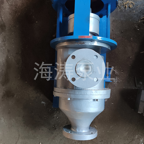 HVP15/0.6高真空出料泵细节剖析图